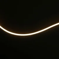 NEON SIDE 0306