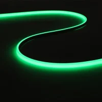 NEON 3D 1313