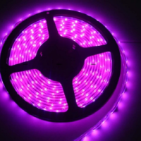 FITA LED 24V P/ TALHO PREMIUM
